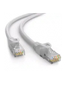C-Tech Kabel Patchcord Cat6E, Utp, biały, 30M (CBPP630) - nr 2