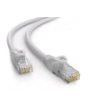 C-Tech Kabel Patchcord Cat6E, Utp, biały, 40M (CBPP640) - nr 2