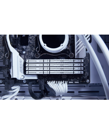 kingston Pamięć DDR5 Fury Beast White 16GB(1*16GB)/6000 CL36