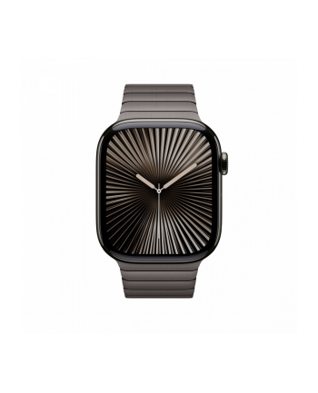 APPLE 46mm Slate Link Bracelet