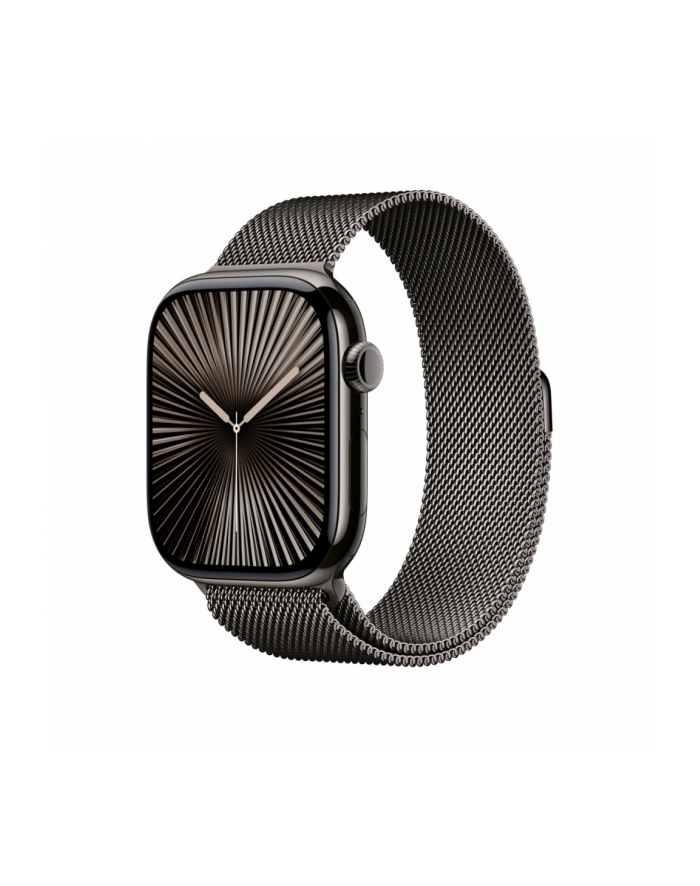 APPLE 46mm Slate Milanese Loop - M/L główny