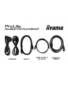 iiyama Monitor 27 cali XUB2797UHSNP-B1, 4K, IPS, DP, HDMI, USB-C, Pivot, HAS - nr 41