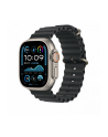 APPLE 49mm Black Ocean Band Extension - Natural Titanium Finish - nr 2