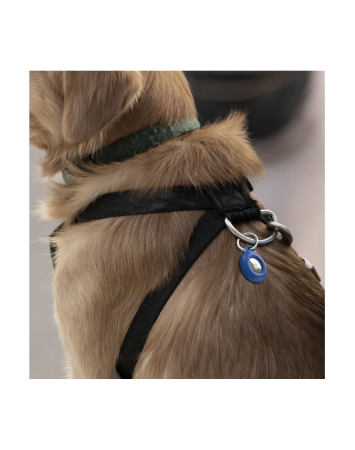 Belkin Secure Holder waterproof Key Ring blue MSC016btBK główny