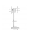 Stojak mobilny Techly TV 37-86'' do 50kg regulowany półka uchwyt AV - nr 15
