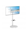 Stojak mobilny Techly TV 37-86'' do 50kg regulowany półka uchwyt AV - nr 17