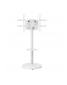 Stojak mobilny Techly TV 37-86'' do 50kg regulowany półka uchwyt AV - nr 18