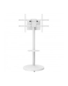 Stojak mobilny Techly TV 37-86'' do 50kg regulowany półka uchwyt AV - nr 1