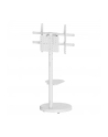 Stojak mobilny Techly TV 37-86'' do 50kg regulowany półka uchwyt AV - nr 22