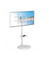 Stojak mobilny Techly TV 37-86'' do 50kg regulowany półka uchwyt AV - nr 7