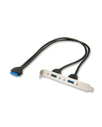 Lindy Panel tylni 2x USB 3.0 (33096)