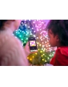 twinkly Inteligentne lampki dekoracyjne Strings USB-C (Candies) 100 LED RGB, świece, zielony przewód, 6 m - nr 6