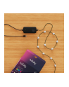 twinkly Inteligentne lampki dekoracyjne Strings USB-C (Candies) 200 LED RGB, serca, zielony przewód, 12 m - nr 4