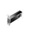 hp inc. HP NVIDIA RTX 2000 Ada 16GB 4mDP Graphics - nr 1