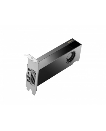 hp inc. HP NVIDIA RTX 2000 Ada 16GB 4mDP Graphics nr 1