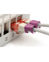 DIGITUS Color clips for Patch cable - Magenta - nr 4