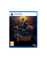 plaion Gra PlayStation 5 Darkest Dungeon 2 - nr 1