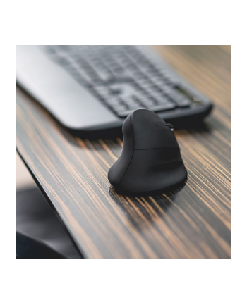 Speedlink Piavo nr 2