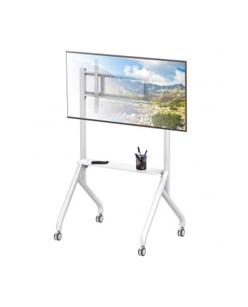 techly Stojak mobilny TV 56-100 cali do 100kg regulowany półka AV nr 1