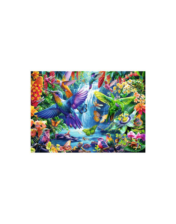 trefl PUZZLE 1000 Kolibry w tropikach 10880 główny