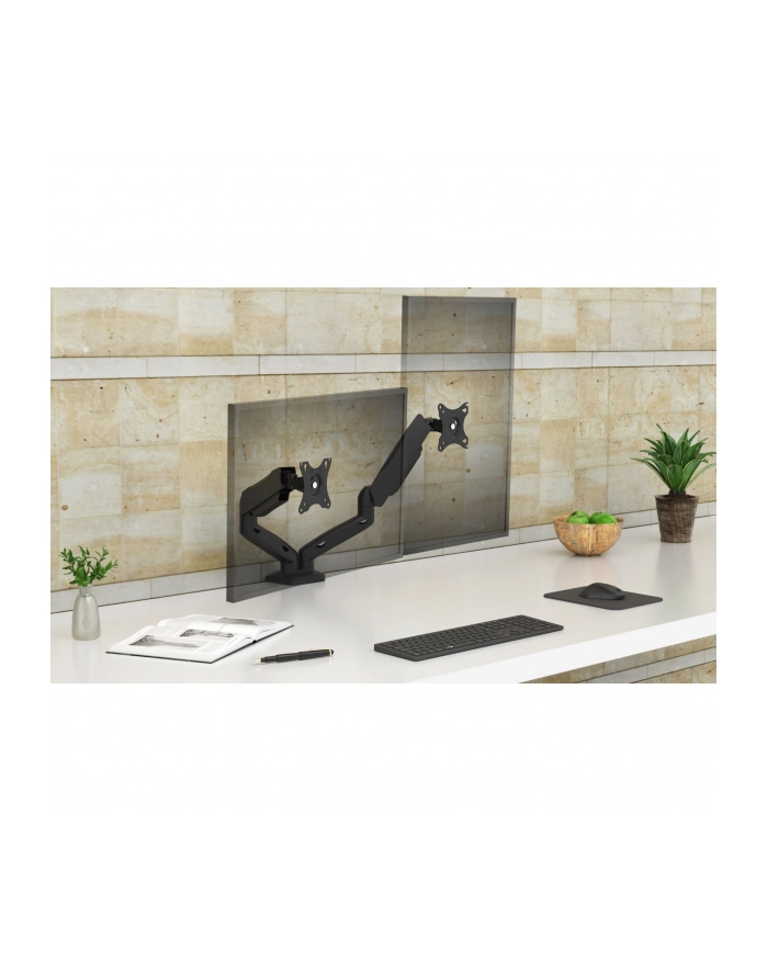 Raidsonic IB-MS204-T Monitorarm dla zwei Monitore główny