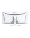 Eizo 34'' EV3450XC-WT (EV3450XCWT) - nr 24