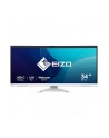 Eizo 34'' EV3450XC-WT (EV3450XCWT) - nr 49