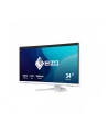 Eizo 34'' EV3450XC-WT (EV3450XCWT) - nr 50