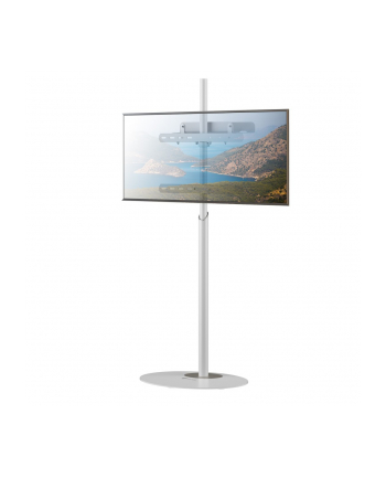 TECHLY Stojak podłogowy TV 32inch-65inch do 35 kg regulowany biały