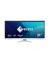 Eizo 34'' EV3450XC-WT (EV3450XCWT) - nr 37