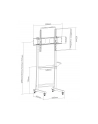 techly Stojak mobilny 50-90 cali 70kg z półką AV - nr 10