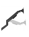 neomounts Ramię NEXT Slim Desk Mount, double display (topfix clamp/grommet - nr 21