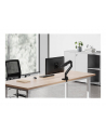 neomounts Ramię do monitora DS70-250BL1 NEXT Slim - nr 40