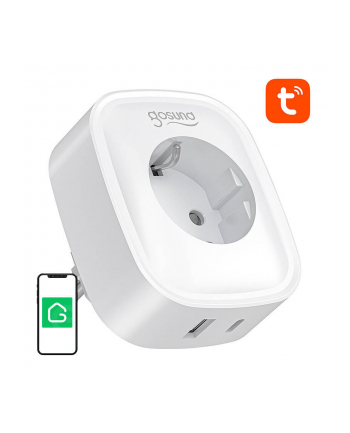 Gosund SP6 16A USB-C 20W Tuya