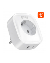 Gosund SP6 16A USB-C 20W Tuya - nr 2