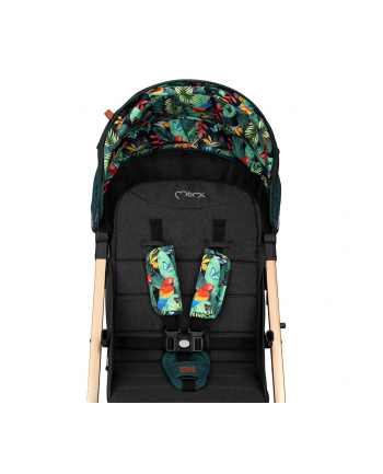 momi Wózek spacerowy ESTELLE zielono-złoty nr 2