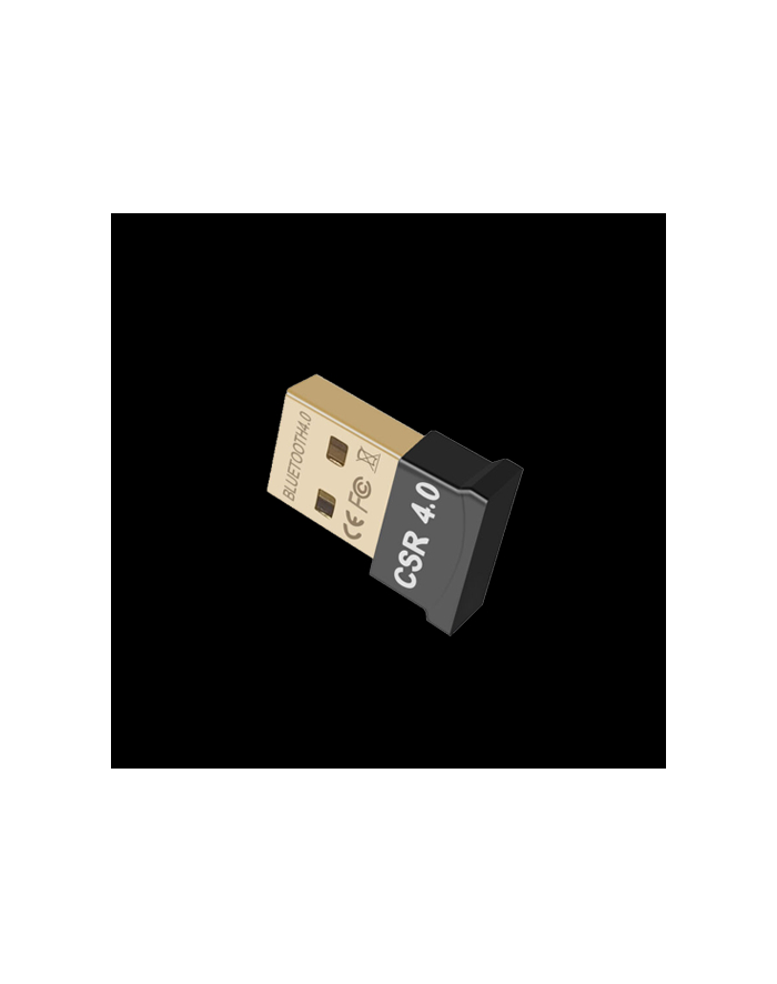 Fanvil Bt 20 Bluetooth Dongle główny