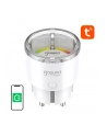 Gosund Inteligentne gniazdko WiFi SP111 - nr 1