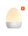 Gosund LB2S Tuya - nr 2