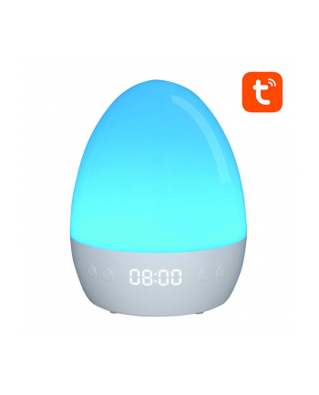 Gosund LB2S Tuya