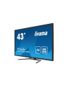 IIYAMA X4373UHSU-B1 43inch UW VA 3840x2160 UHD 400cd/m2 3ms HDR400 2xHDMI DP USB-HUB PBP PIP Remote control Speakers (P) - nr 1