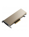 pny technologies Karta graficzna PNY NVIDIA A2 Module 16 GB GDDR6 ECC, PCIe 40 x16,  LP - ATX bracket, retail - nr 1