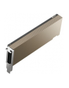 pny technologies Karta graficzna PNY NVIDIA A2 Module 16 GB GDDR6 ECC, PCIe 40 x16,  LP - ATX bracket, retail - nr 2
