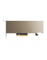 pny technologies Karta graficzna PNY NVIDIA A2 Module 16 GB GDDR6 ECC, PCIe 40 x16,  LP - ATX bracket, retail - nr 6