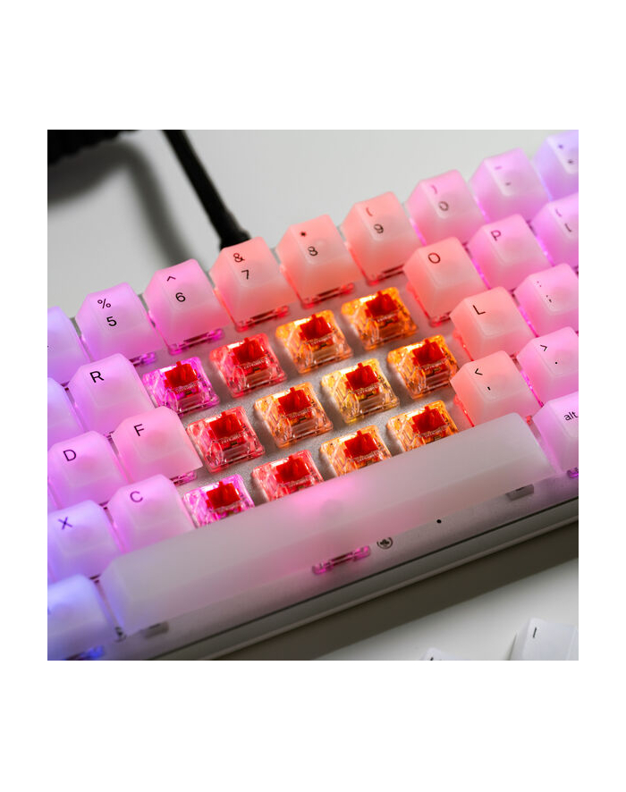 Glorious Fox Heavy Switche, mechaniczne, 5-pinowe, liniowe, MX-Stem, 55g - smarowane, 110 sztuk główny