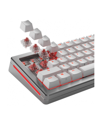 Glorious Fox Ultralight Przełączniki, mechaniczne, 5-pinowe, liniowe, MX-Stem, 30g - nasmarowane, 110 sztuk nr 2