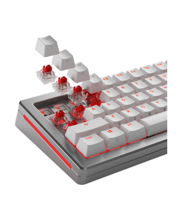 Glorious Fox HE Przełączniki standardowe, efekt Halla, liniowe, MX-Stem, 45g - nasmarowane, 36 sztuk nr 2