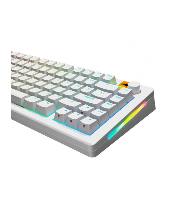 Glorious Podświetlane GPBT, układ ANSI (USA), PBT, Dye-Sub - biały główny