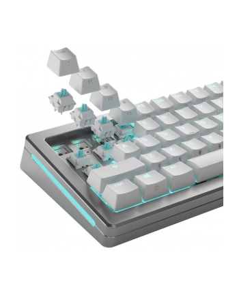 Glorious Lynx Przełączniki standardowe, mechaniczne, 5-pinowe, liniowe, MX-Stem, 40g - nasmarowane, 36 sztuk nr 1