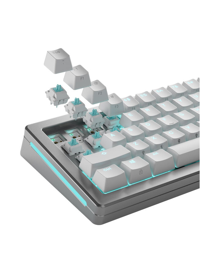 Glorious Lynx Przełączniki standardowe, mechaniczne, 5-pinowe, liniowe, MX-Stem, 40g - nasmarowane, 36 sztuk główny